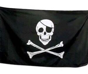 Jolly Roger Skull Flag