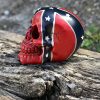 Confederate Flag Skulls