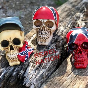 Confederate Flag Skulls