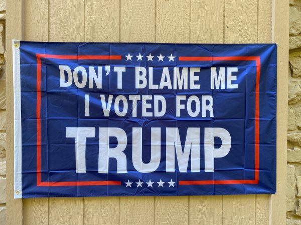 Dont Blame Me I voted For Trump Flag