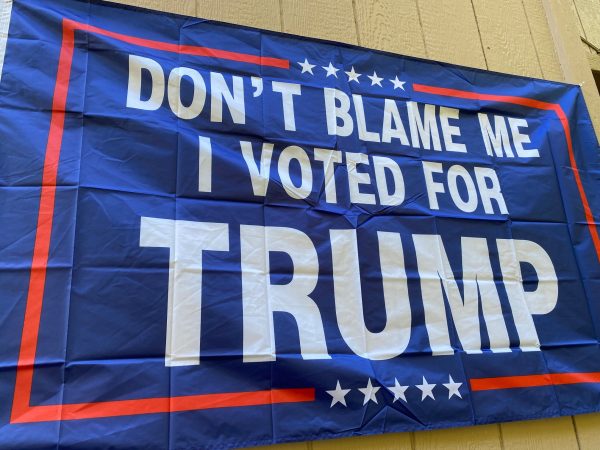 Dont Blame Me I voted For Trump Flag