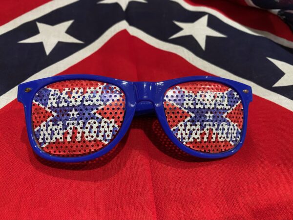 Rebel Nation Sunglasses