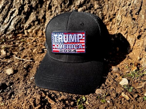 Trump America 2024 Snapback Hats