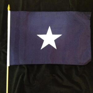 12x18 Bonnie Blue stick flags on 30 inch staff Confederate flags bulk Rebel Nation